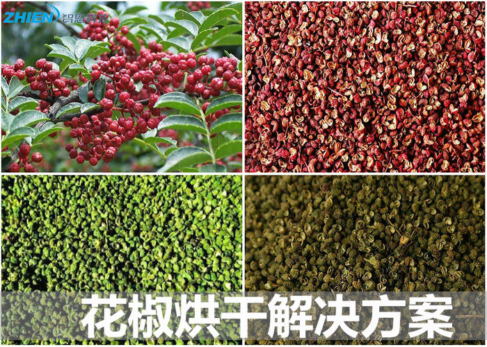 花椒烘干机 花椒烘干房 花椒烘干技术解决方案-亿万28厂家