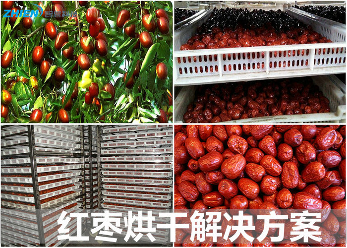 红枣烘干