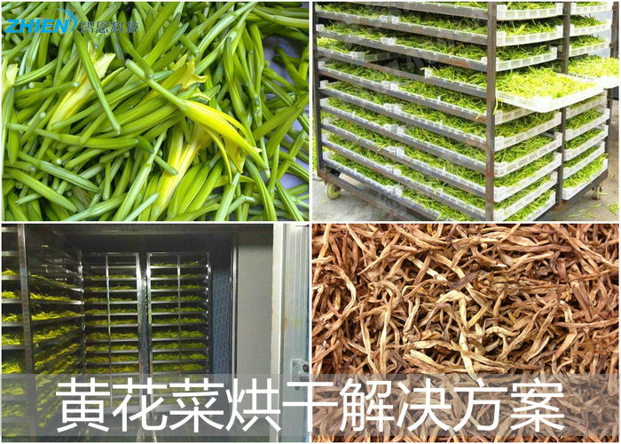黄花菜烘干机解决黄花菜干燥难点-亿万28厂家